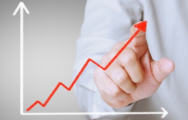 7 (Tujuh) Tingkat Investor